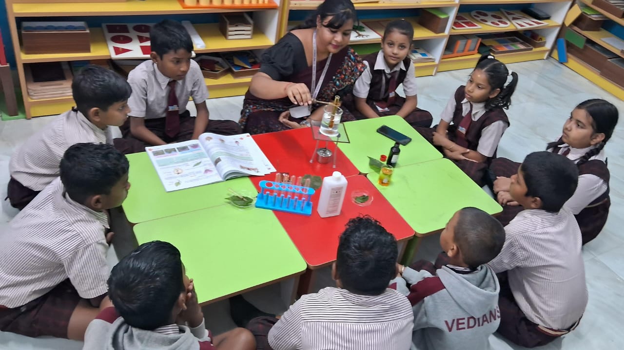School Image 23