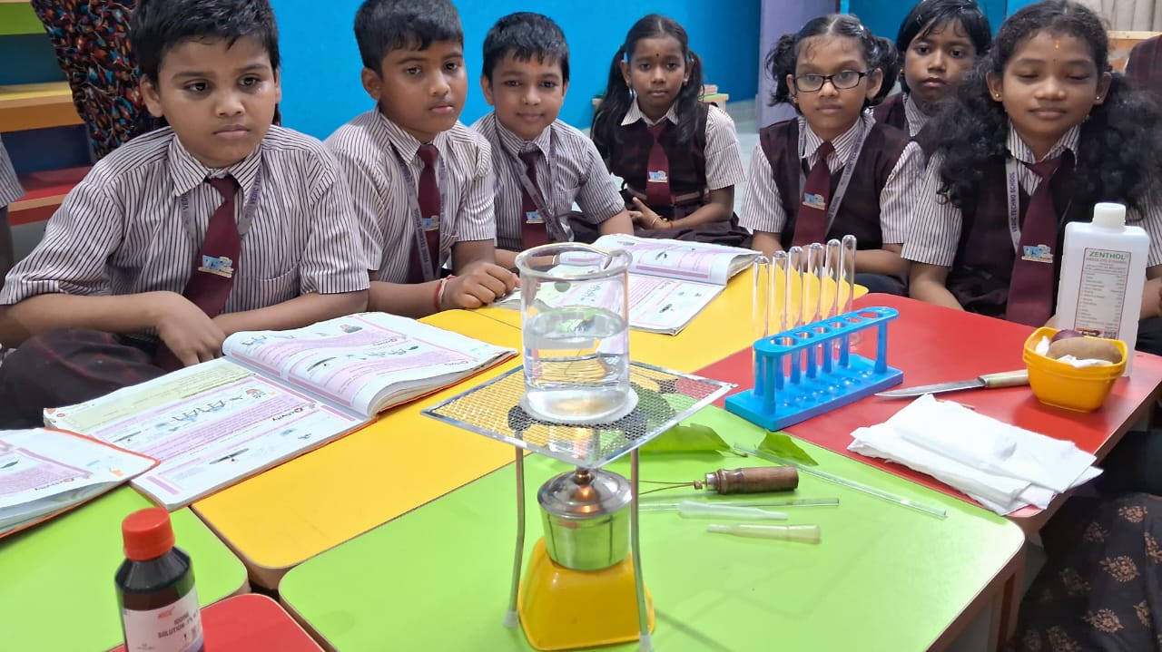 School Image 28